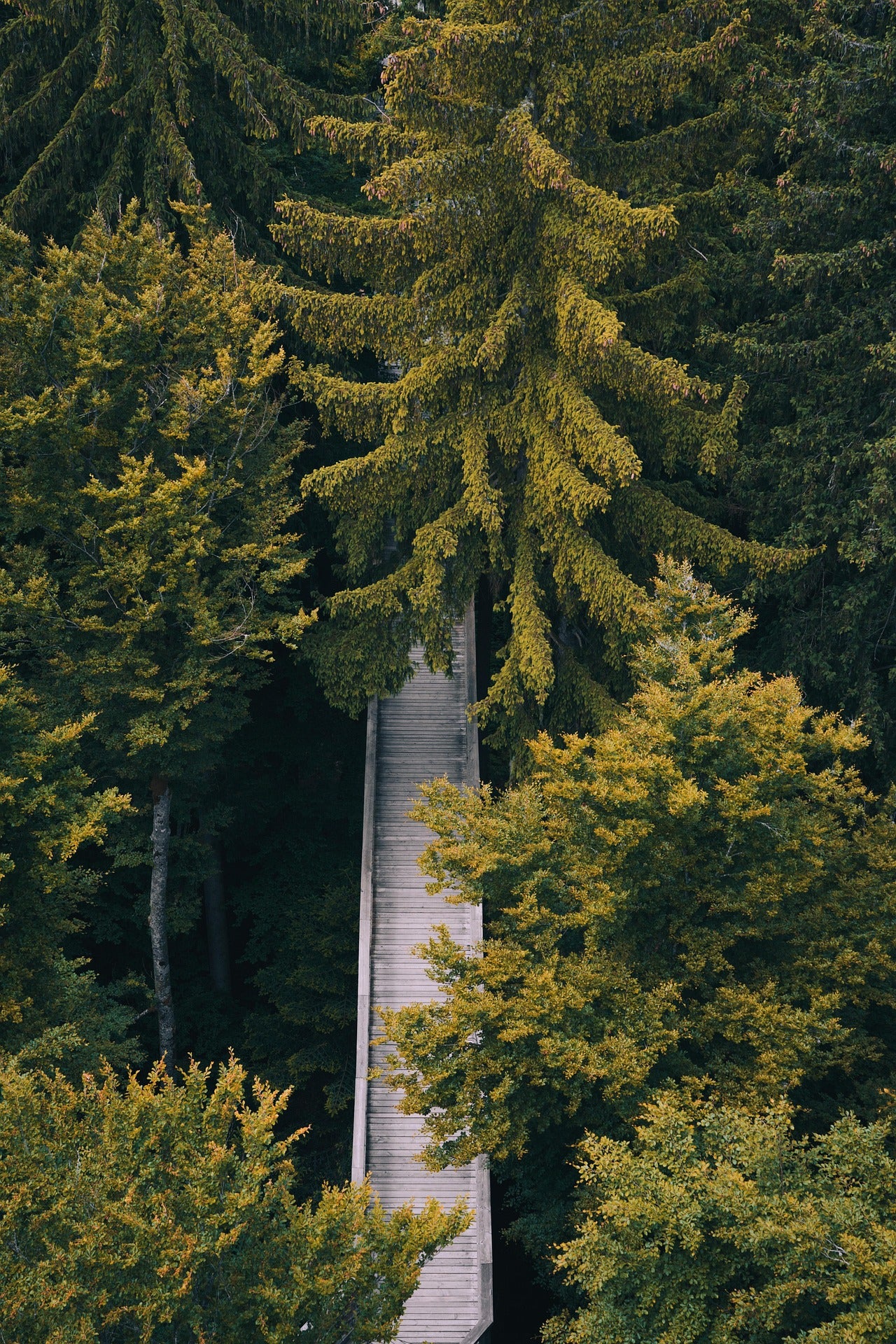 MICRO JOURNEY TERRA – Rooted